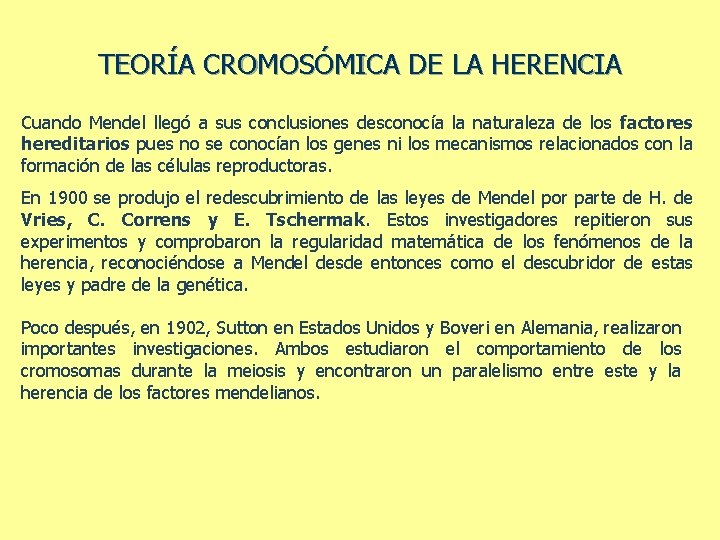 TEORÍA CROMOSÓMICA DE LA HERENCIA Cuando Mendel llegó a sus conclusiones desconocía la naturaleza