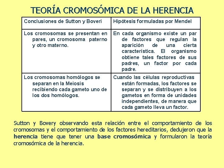 TEORÍA CROMOSÓMICA DE LA HERENCIA Conclusiones de Sutton y Boveri Hipótesis formuladas por Mendel