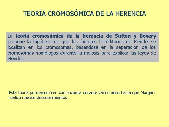 TEORÍA CROMOSÓMICA DE LA HERENCIA La teoría cromosómica de la herencia de Sutton y