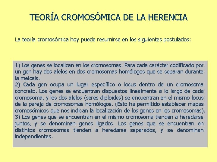 TEORÍA CROMOSÓMICA DE LA HERENCIA La teoría cromosómica hoy puede resumirse en los siguientes