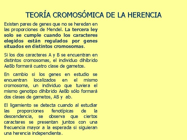 TEORÍA CROMOSÓMICA DE LA HERENCIA Existen pares de genes que no se heredan en