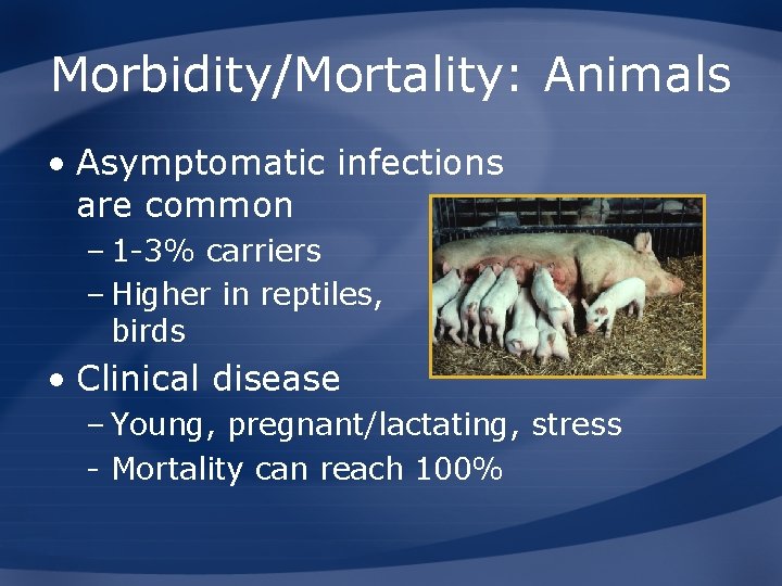 Morbidity/Mortality: Animals • Asymptomatic infections are common – 1 -3% carriers – Higher in