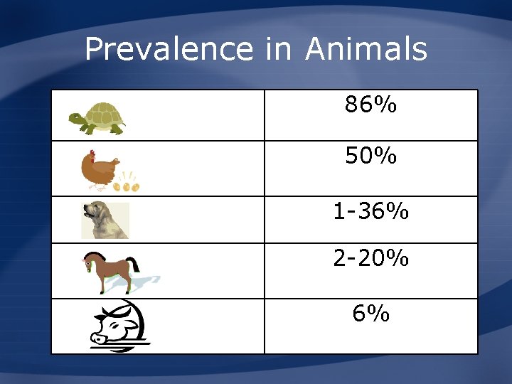 Prevalence in Animals 86% 50% 1 -36% 2 -20% 6% 