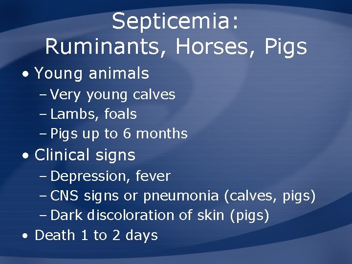 Septicemia: Ruminants, Horses, Pigs • Young animals – Very young calves – Lambs, foals