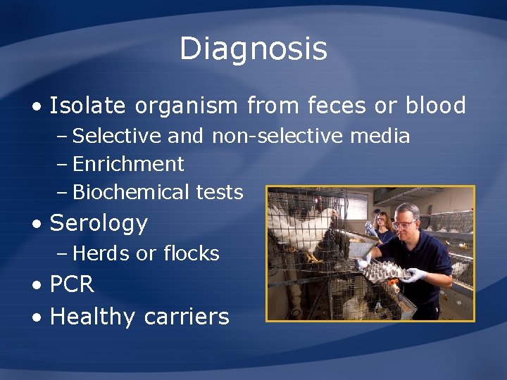 Diagnosis • Isolate organism from feces or blood – Selective and non-selective media –