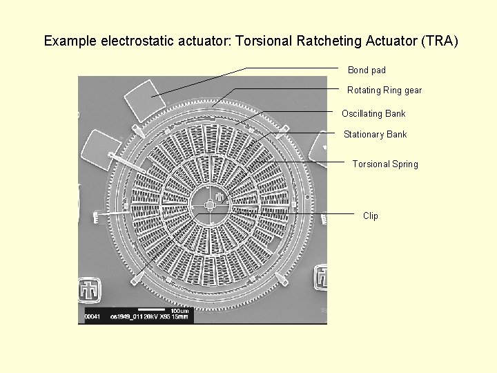 Example electrostatic actuator: Torsional Ratcheting Actuator (TRA) Bond pad Rotating Ring gear Oscillating Bank