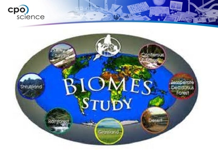 Biomes of the World 