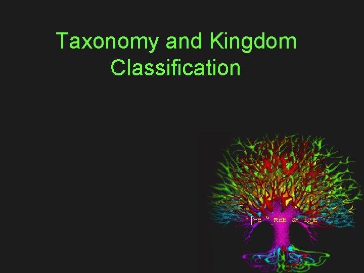 Taxonomy and Kingdom Classification 