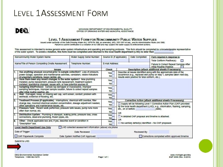 LEVEL 1 ASSESSMENT FORM 