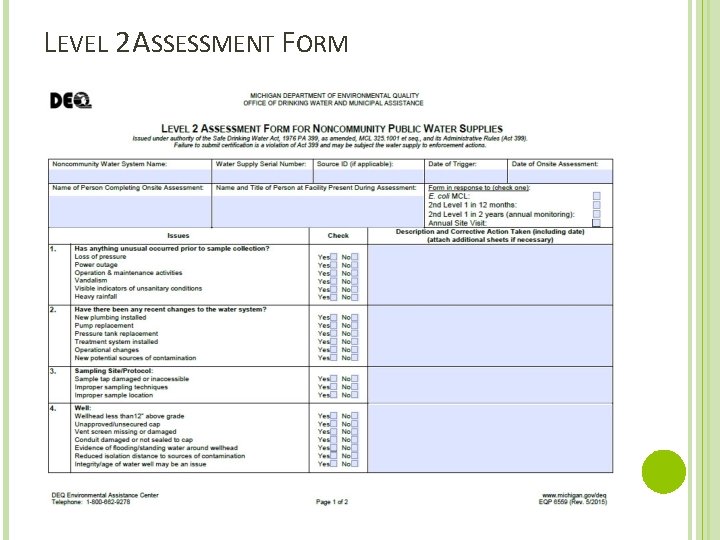 LEVEL 2 ASSESSMENT FORM 