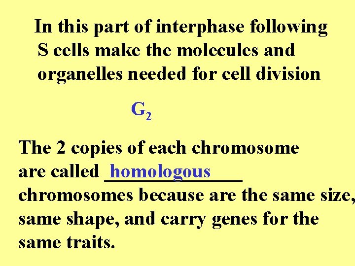 In this part of interphase following S cells make the molecules and organelles needed In this part of interphase following S cells make the molecules and organelles needed