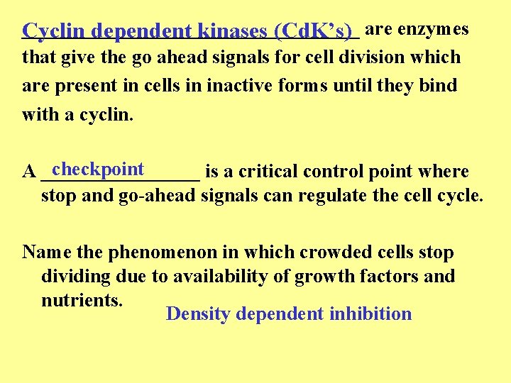 _________________ Cyclin dependent kinases (Cd. K’s) are enzymes that give the go ahead signals _________________ Cyclin dependent kinases (Cd. K’s) are enzymes that give the go ahead signals