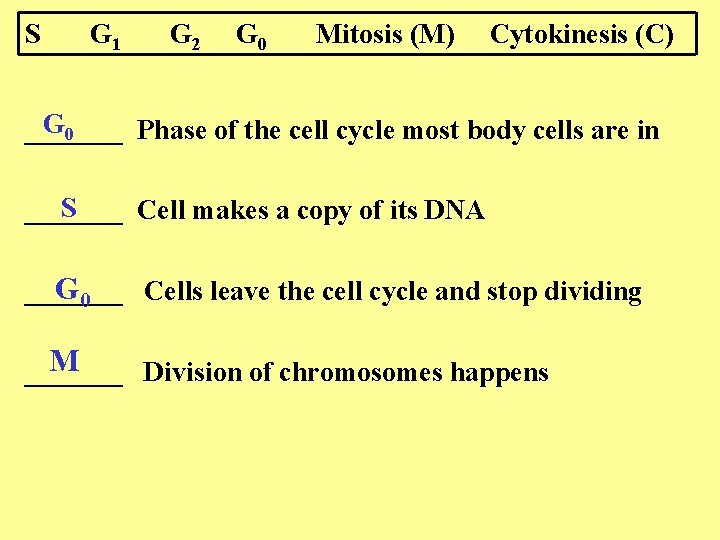 S G 1 G 2 G 0 Mitosis (M) Cytokinesis (C) G 0 _______ S G 1 G 2 G 0 Mitosis (M) Cytokinesis (C) G 0 _______