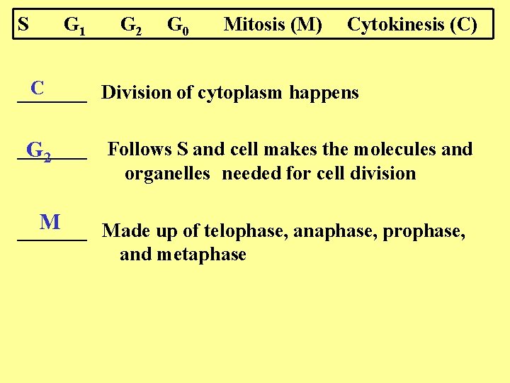 S G 1 G 2 G 0 Mitosis (M) Cytokinesis (C) C _______ Division S G 1 G 2 G 0 Mitosis (M) Cytokinesis (C) C _______ Division