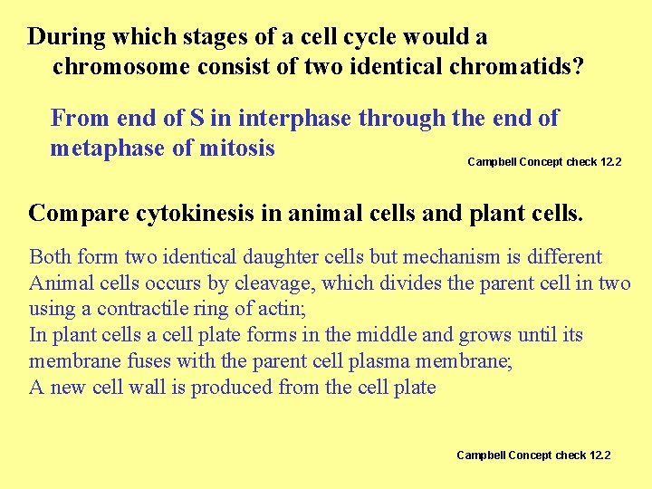 During which stages of a cell cycle would a chromosome consist of two identical During which stages of a cell cycle would a chromosome consist of two identical