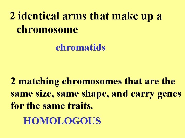 2 identical arms that make up a chromosome chromatids 2 matching chromosomes that are 2 identical arms that make up a chromosome chromatids 2 matching chromosomes that are