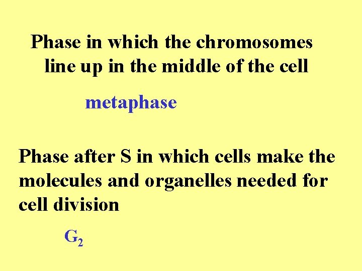 Phase in which the chromosomes line up in the middle of the cell metaphase Phase in which the chromosomes line up in the middle of the cell metaphase