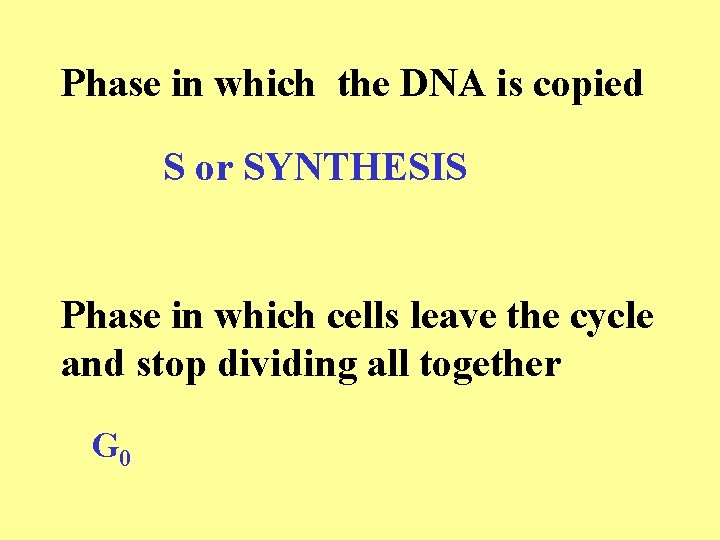 Phase in which the DNA is copied S or SYNTHESIS Phase in which cells Phase in which the DNA is copied S or SYNTHESIS Phase in which cells