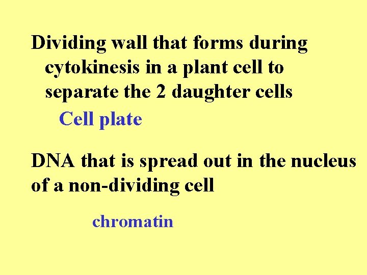 Dividing wall that forms during cytokinesis in a plant cell to separate the 2 Dividing wall that forms during cytokinesis in a plant cell to separate the 2