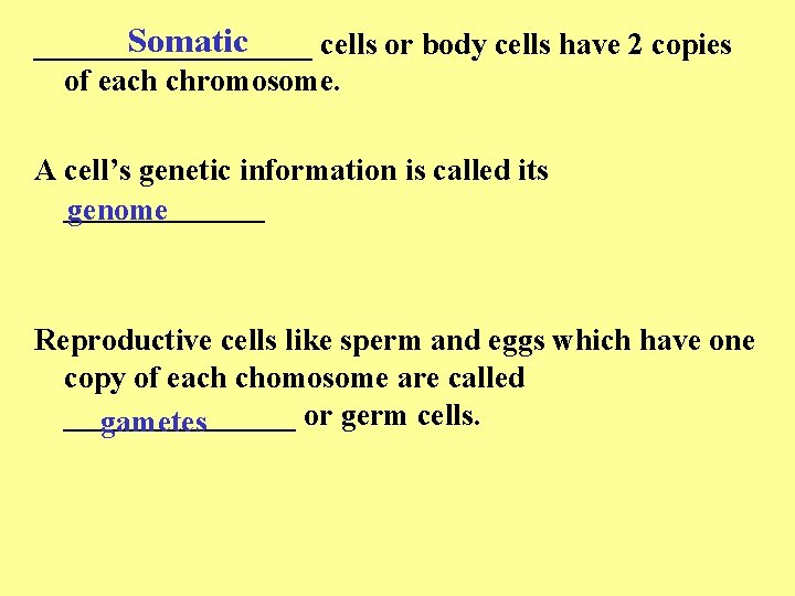 Somatic _________ cells or body cells have 2 copies of each chromosome. A cell’s Somatic _________ cells or body cells have 2 copies of each chromosome. A cell’s
