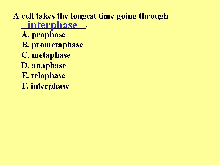 A cell takes the longest time going through ________. interphase A. prophase B. prometaphase A cell takes the longest time going through ________. interphase A. prophase B. prometaphase