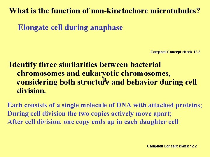 What is the function of non-kinetochore microtubules? Elongate cell during anaphase Campbell Concept check What is the function of non-kinetochore microtubules? Elongate cell during anaphase Campbell Concept check