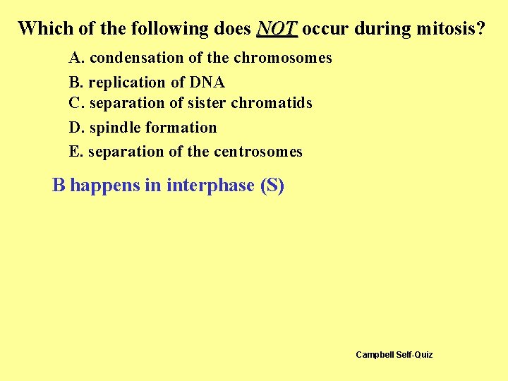 Which of the following does NOT occur during mitosis? A. condensation of the chromosomes Which of the following does NOT occur during mitosis? A. condensation of the chromosomes