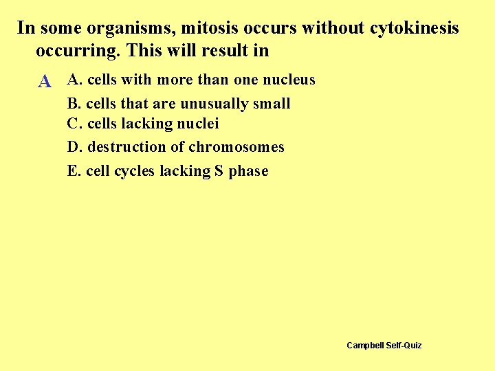 In some organisms, mitosis occurs without cytokinesis occurring. This will result in A A. In some organisms, mitosis occurs without cytokinesis occurring. This will result in A A.