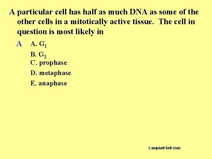 A particular cell has half as much DNA as some of the other cells A particular cell has half as much DNA as some of the other cells