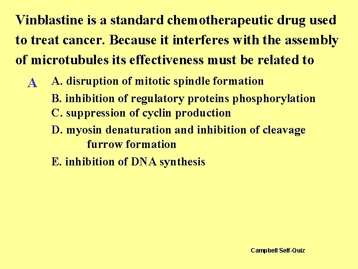 Vinblastine is a standard chemotherapeutic drug used to treat cancer. Because it interferes with Vinblastine is a standard chemotherapeutic drug used to treat cancer. Because it interferes with
