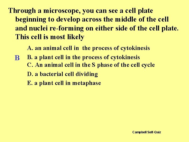 Through a microscope, you can see a cell plate beginning to develop across the Through a microscope, you can see a cell plate beginning to develop across the