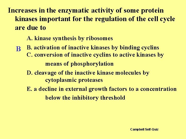 Increases in the enzymatic activity of some protein kinases important for the regulation of Increases in the enzymatic activity of some protein kinases important for the regulation of