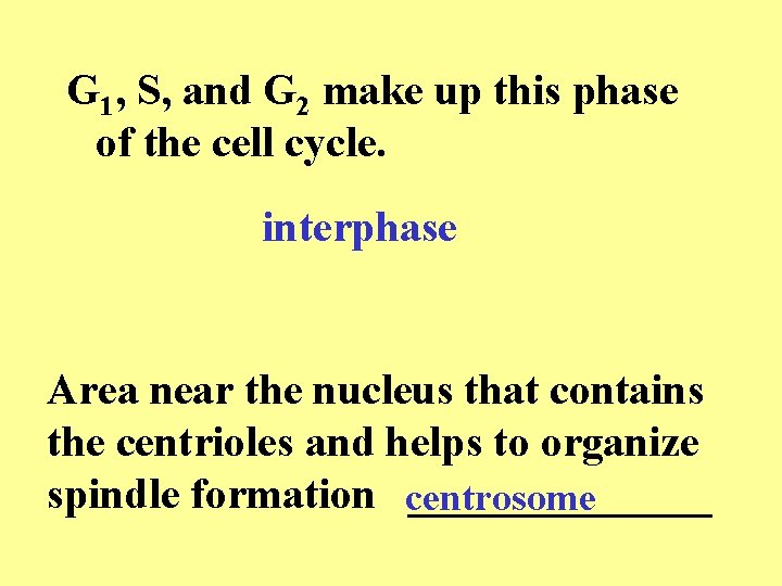 G 1, S, and G 2 make up this phase of the cell cycle. G 1, S, and G 2 make up this phase of the cell cycle.