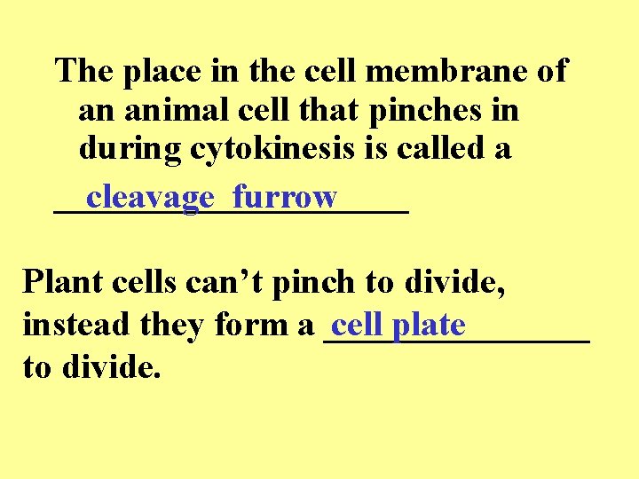 The place in the cell membrane of an animal cell that pinches in during The place in the cell membrane of an animal cell that pinches in during