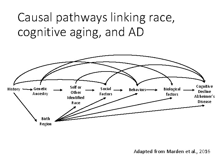 Causal pathways linking race, cognitive aging, and AD History Genetic Ancestry Self or Other