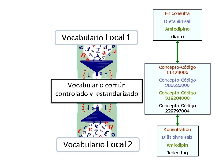 En consulta Dieta sin sal Amlodipino Vocabulario Local 1 diario Concepto-Código 11429006 Vocabulario común