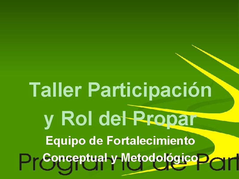 Taller Participación y Rol del Propar Equipo de Fortalecimiento Conceptual y Metodológico 