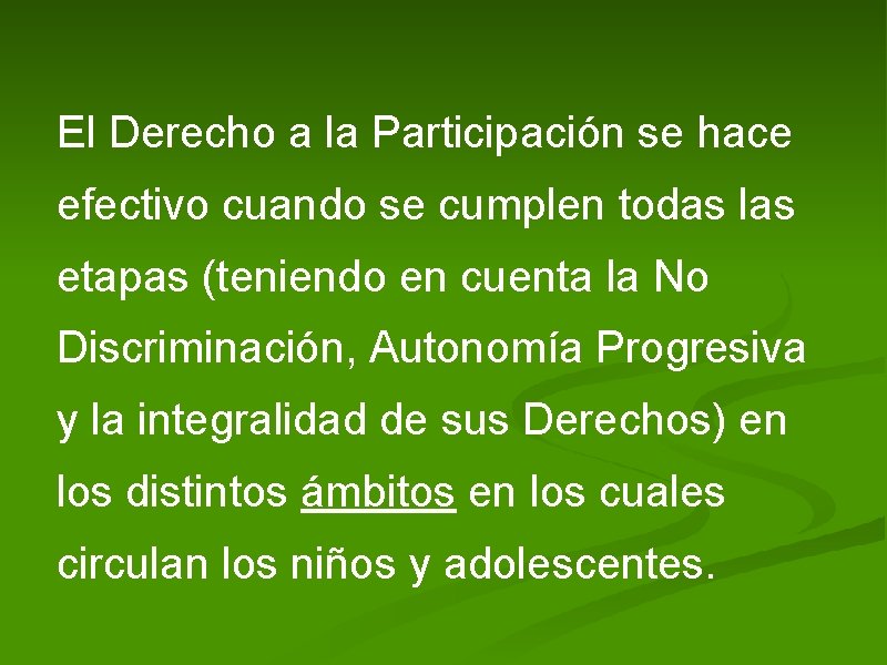 El Derecho a la Participación se hace efectivo cuando se cumplen todas las etapas