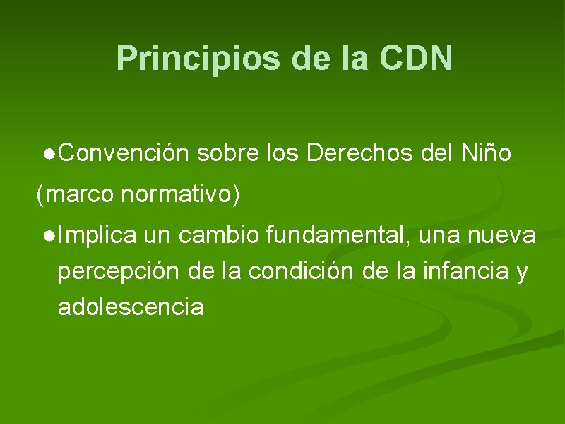 Principios de la CDN ●Convención sobre los Derechos del Niño (marco normativo) ●Implica un