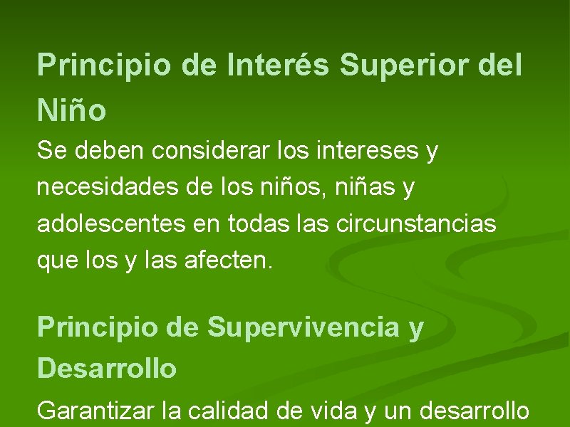Principio de Interés Superior del Niño Se deben considerar los intereses y necesidades de