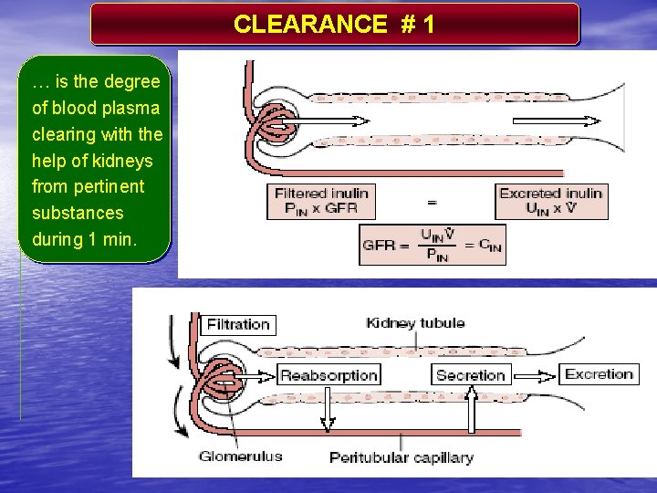 CLEARANCE # 1 … is the degree of blood plasma clearing with the help