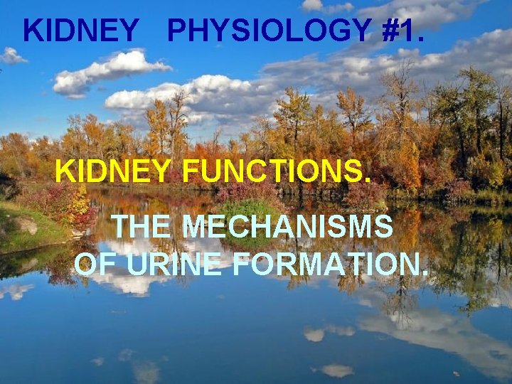 KIDNEY PHYSIOLOGY #1. KIDNEY FUNCTIONS. THE MECHANISMS OF URINE FORMATION. 