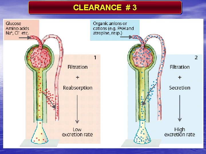 CLEARANCE # 3 