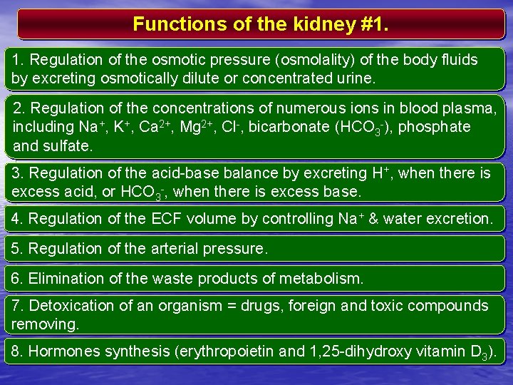 Functions of the kidney #1. 1. Regulation of the osmotic pressure (osmolality) of the