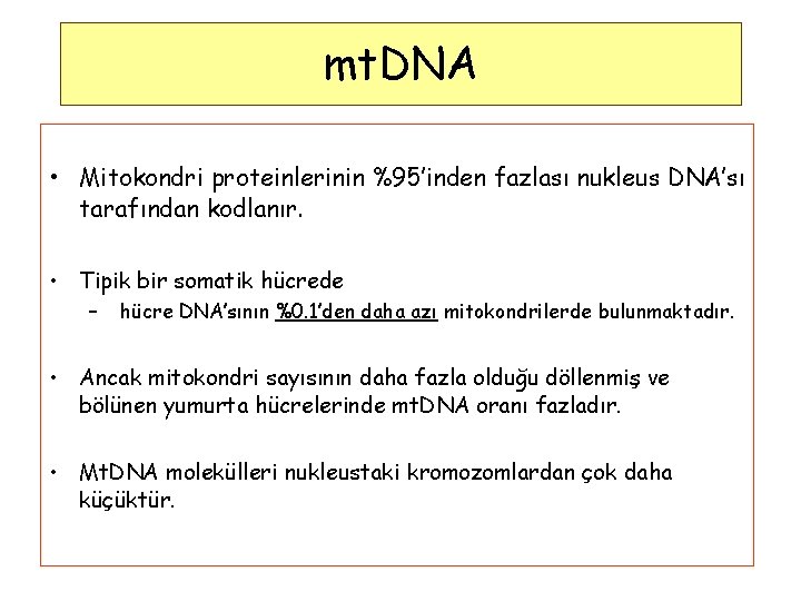 mt. DNA • Mitokondri proteinlerinin %95’inden fazlası nukleus DNA’sı tarafından kodlanır. • Tipik bir