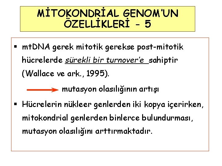 MİTOKONDRİAL GENOM’UN ÖZELLİKLERİ - 5 § mt. DNA gerek mitotik gerekse post-mitotik hücrelerde sürekli