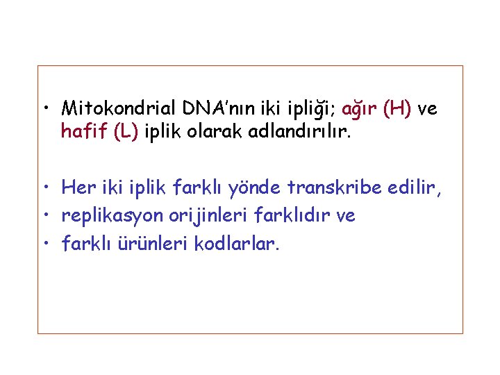  • Mitokondrial DNA’nın iki ipliği; ağır (H) ve hafif (L) iplik olarak adlandırılır.