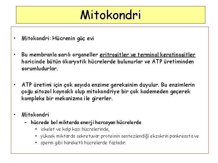 Mitokondri • Mitokondri: Hücrenin güç evi • Bu membranla sarılı organeller eritrositler ve terminal