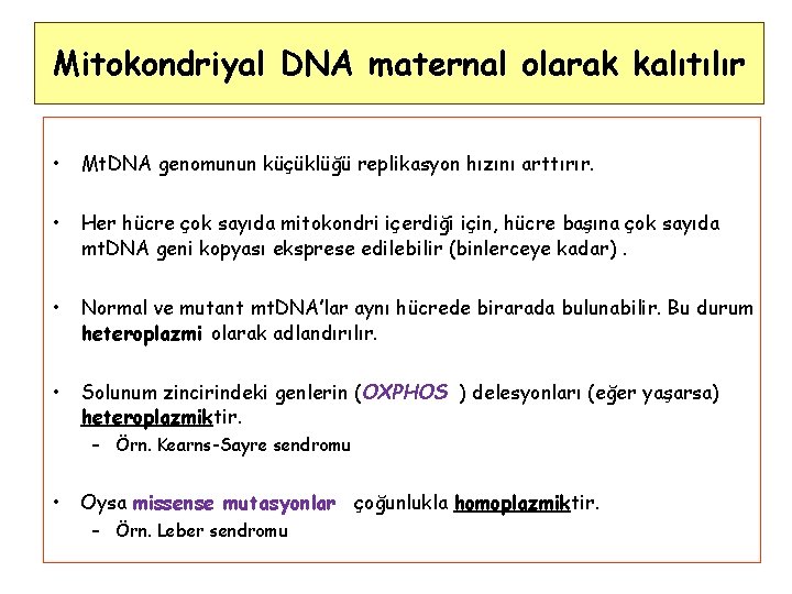 Mitokondriyal DNA maternal olarak kalıtılır • Mt. DNA genomunun küçüklüğü replikasyon hızını arttırır. •
