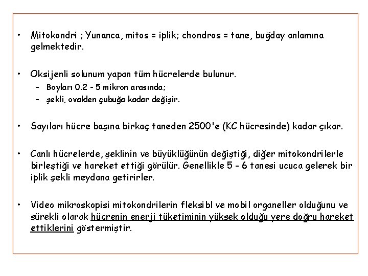  • Mitokondri ; Yunanca, mitos = iplik; chondros = tane, buğday anlamına gelmektedir.